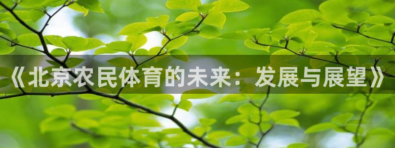 必一运动官网