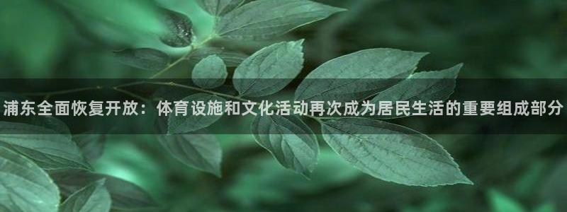 必一运动