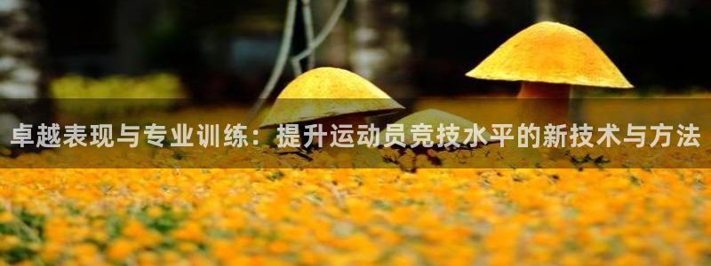 b体育必一运动官网