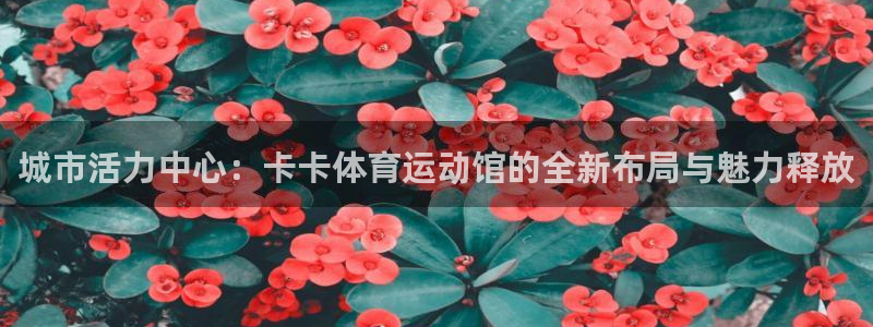 bsports官网 必一运动