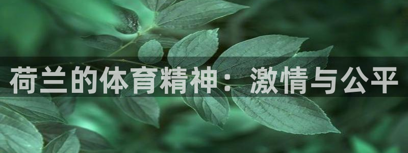 必一运动体育官网：荷兰的体育精神：激情与公平