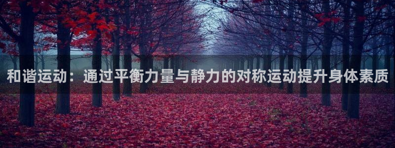 必一运动bsport体育