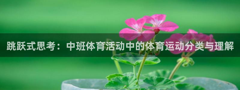 必一运动体育官网